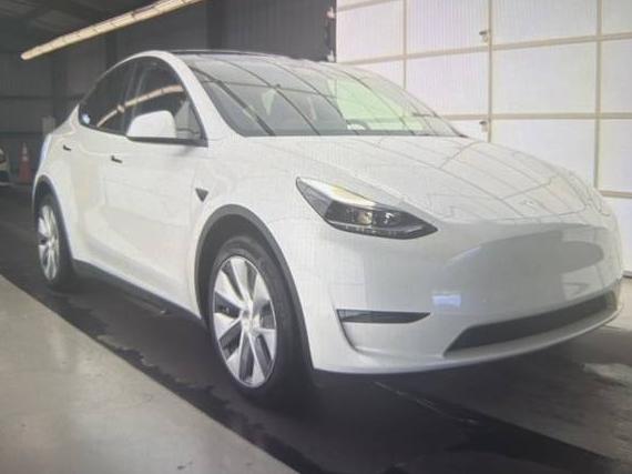 TESLA MODEL Y 2024 7SAYGDED7RF068265 image